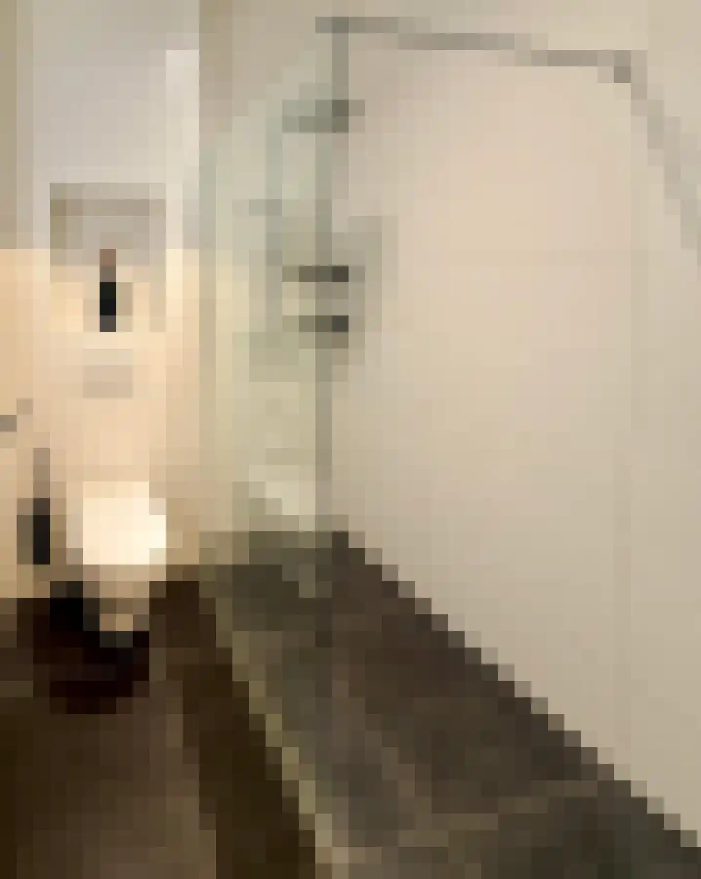 Gustav Mahlerlaan 15 D Amsterdam thumbnail 9
