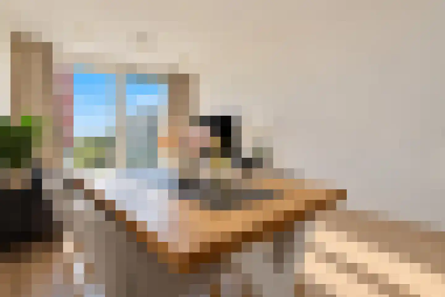 Gustav Mahlerlaan 17 K Amsterdam thumbnail 11