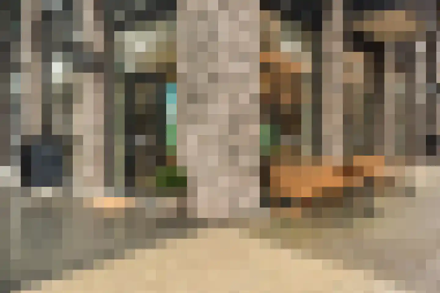 Gustav Mahlerlaan 17 K Amsterdam thumbnail 36