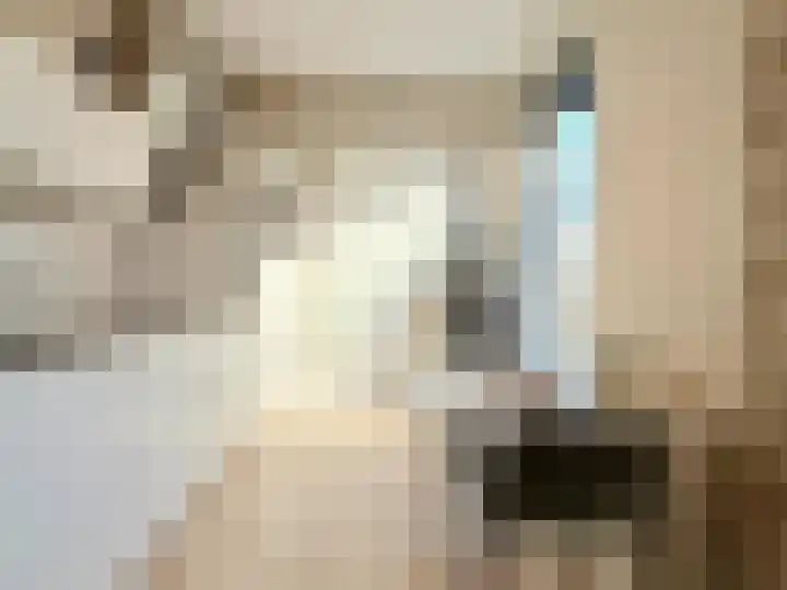 Gustav Mahlerlaan 17 N Amsterdam thumbnail 11