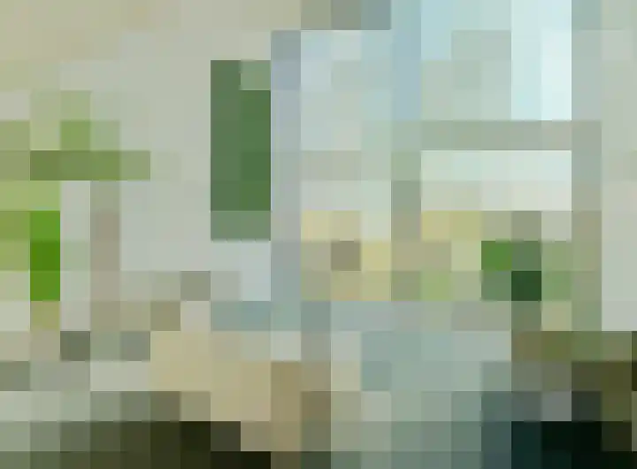 Gustav Mahlerlaan 17 N Amsterdam thumbnail 14