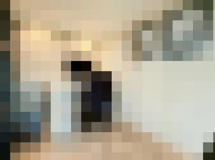 Gustav Mahlerlaan 17 N Amsterdam thumbnail 4