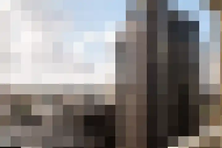 Gustav Mahlerlaan 174 Amsterdam thumbnail 21