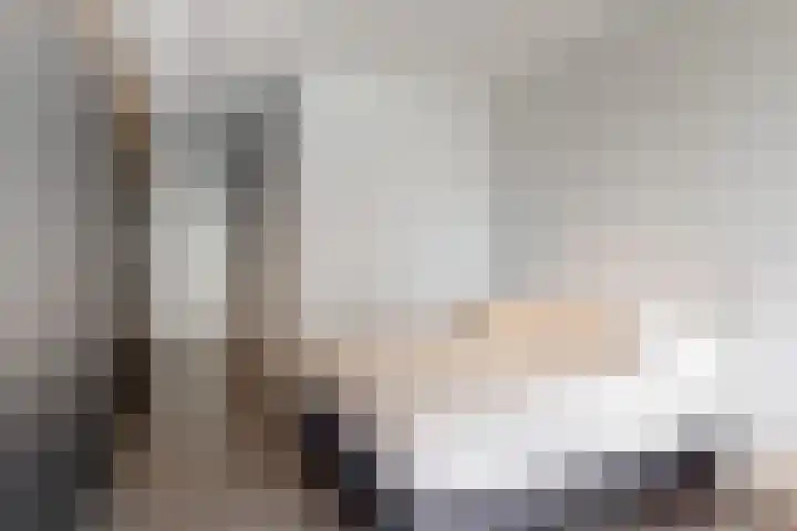 Gustav Mahlerlaan 19 F Amsterdam thumbnail 21