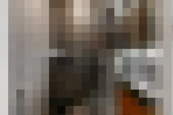 Gustav Mahlerlaan 19 F Amsterdam thumbnail 22