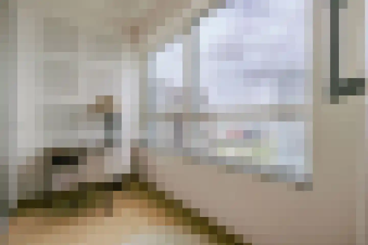Gustav Mahlerlaan 212 Amsterdam thumbnail 21