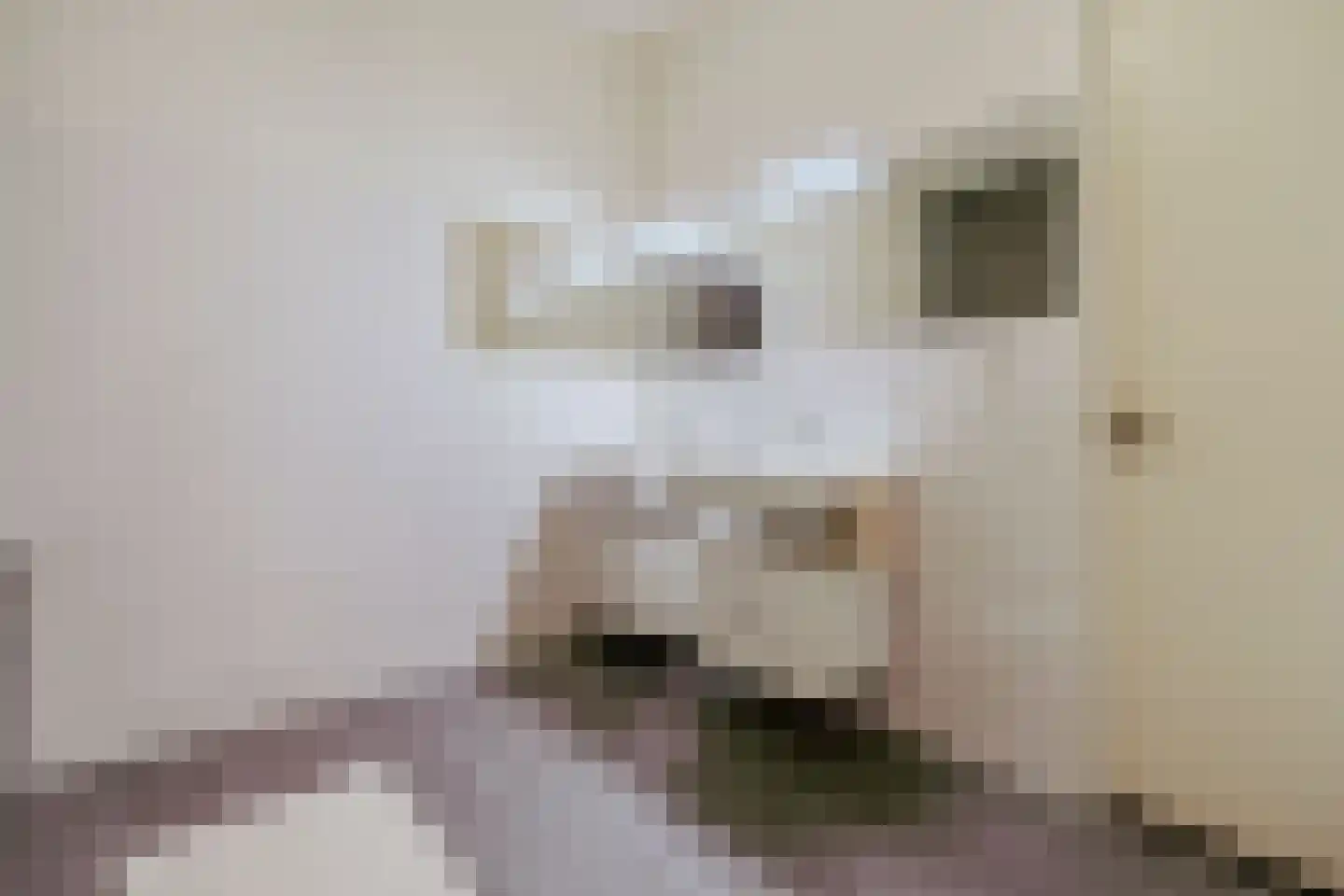 Gustav Mahlerlaan 212 Amsterdam thumbnail 27