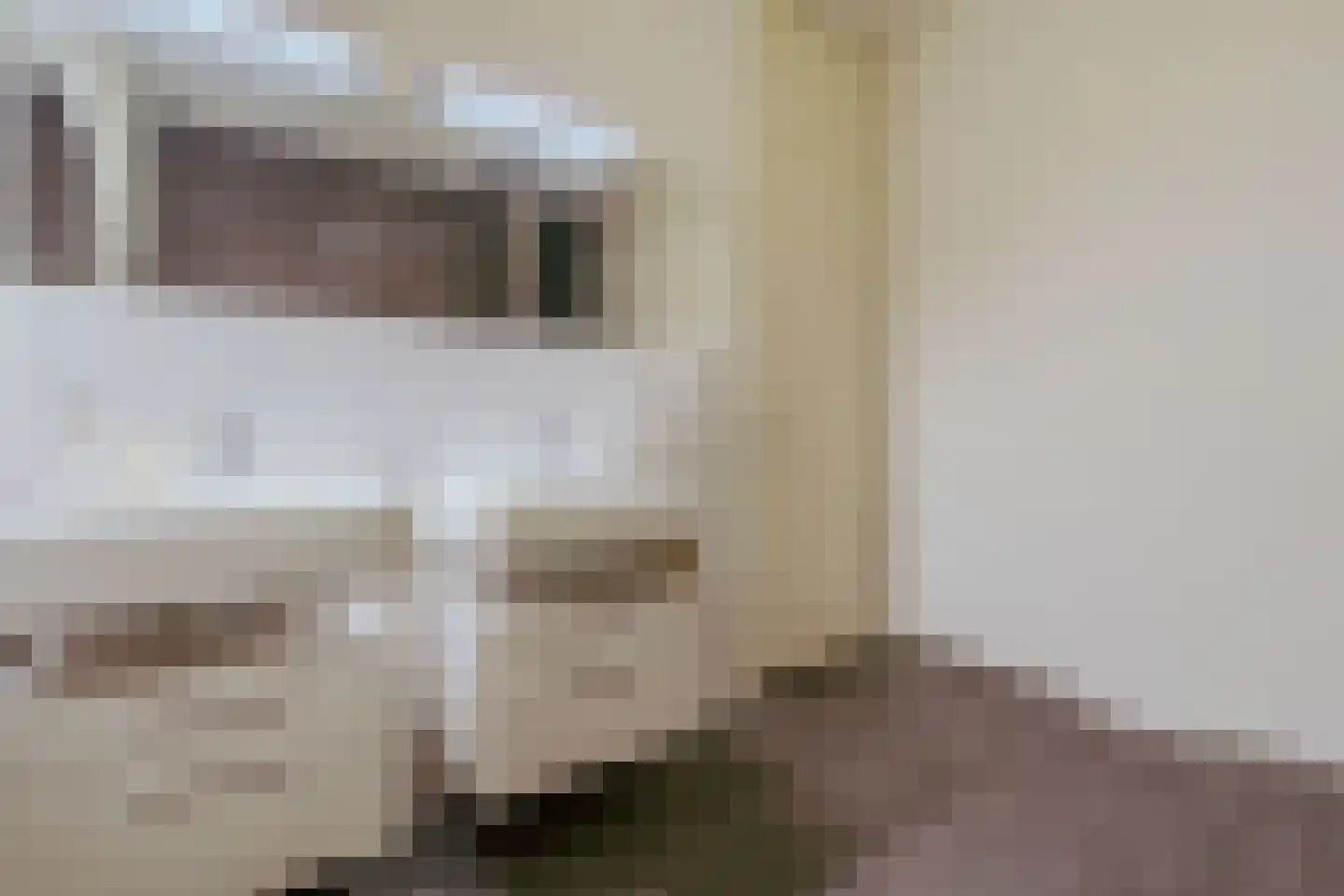 Gustav Mahlerlaan 212 Amsterdam thumbnail 28