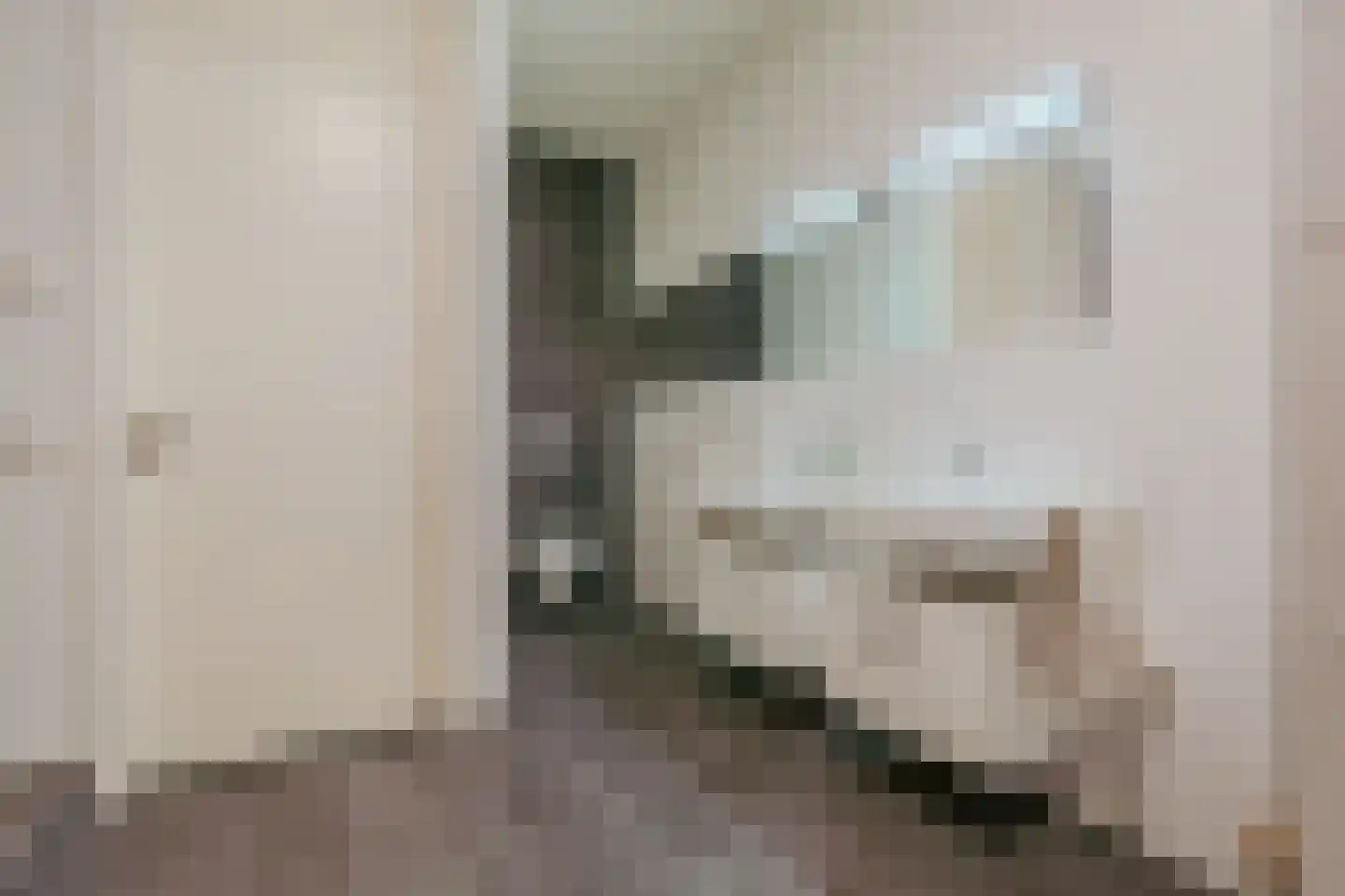 Gustav Mahlerlaan 212 Amsterdam thumbnail 30