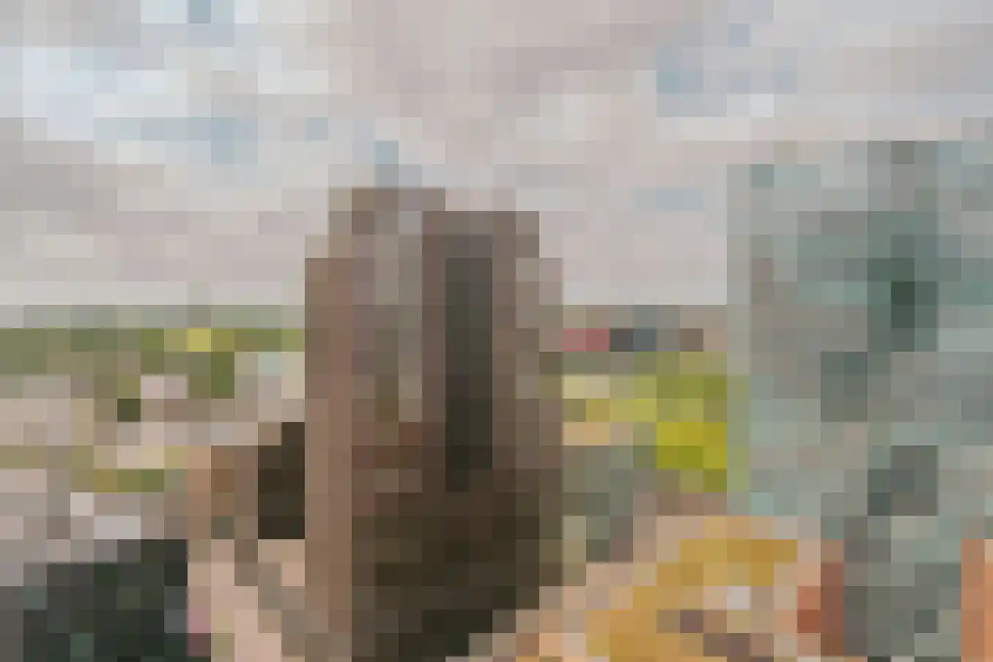 Gustav Mahlerlaan 212 Amsterdam thumbnail 33
