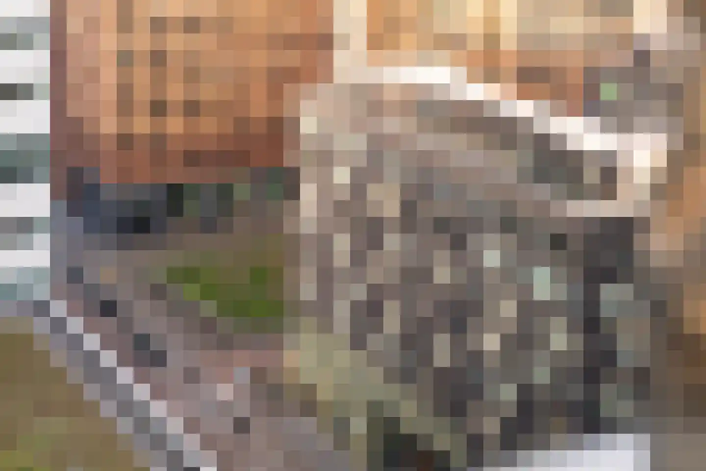 Gustav Mahlerlaan 228 Amsterdam thumbnail 47