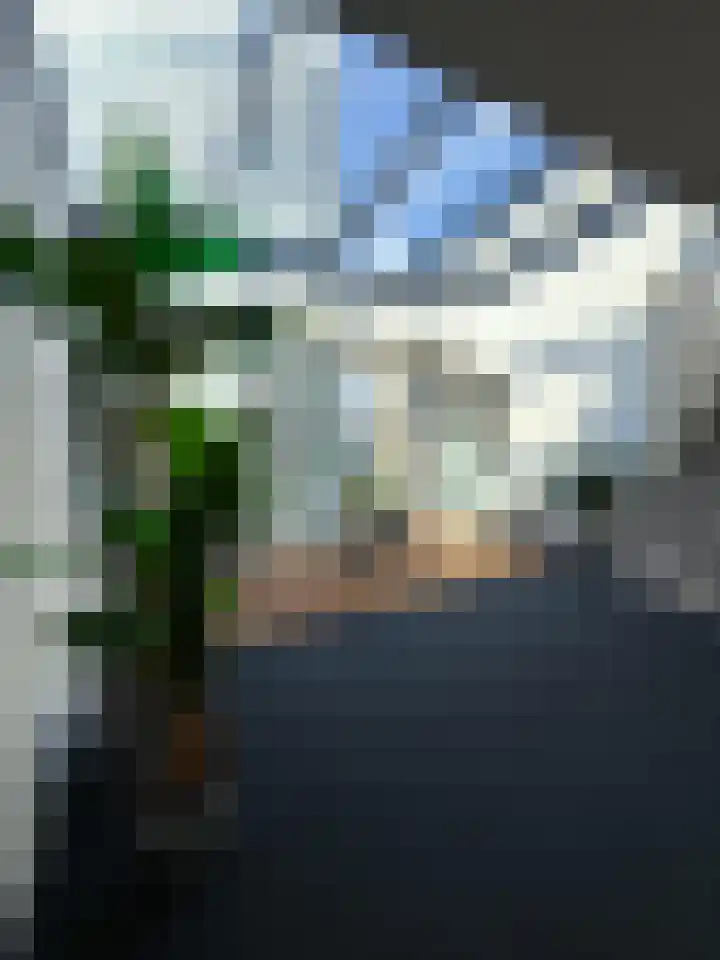 Gustav Mahlerlaan 23 H Amsterdam thumbnail 14