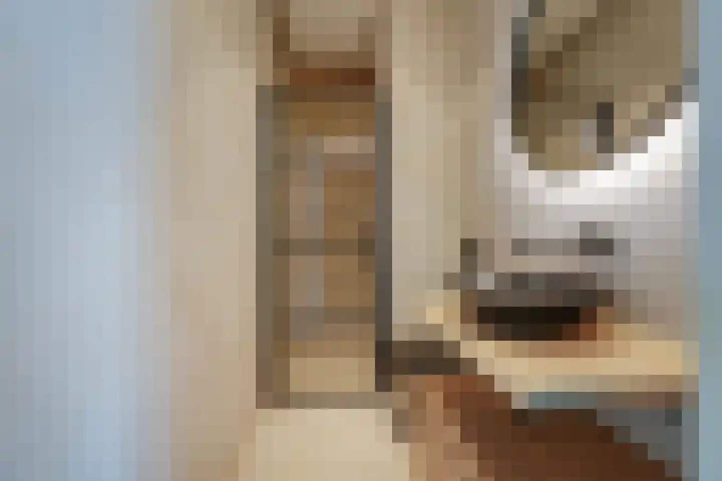 Gustav Mahlerlaan 23 N Amsterdam thumbnail 22