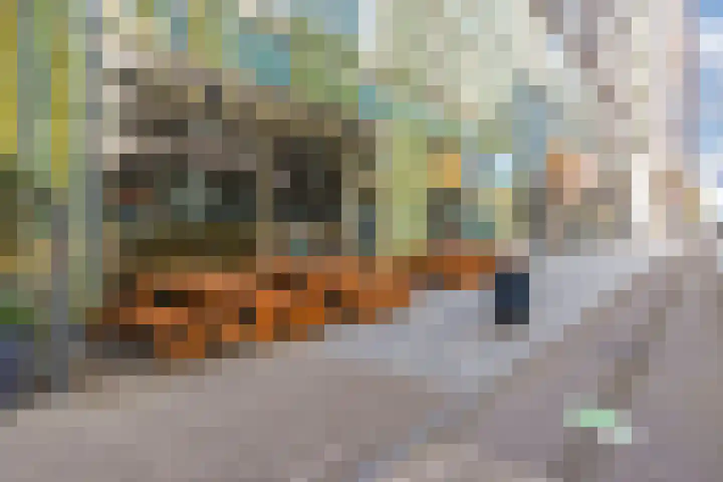Gustav Mahlerlaan 25 M Amsterdam thumbnail 15