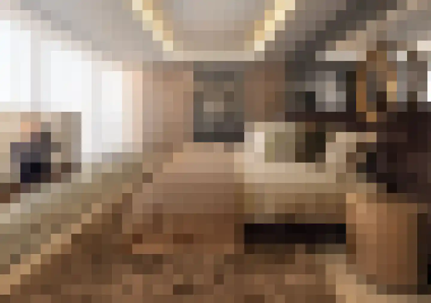 Gustav Mahlerlaan 278 Amsterdam thumbnail 7