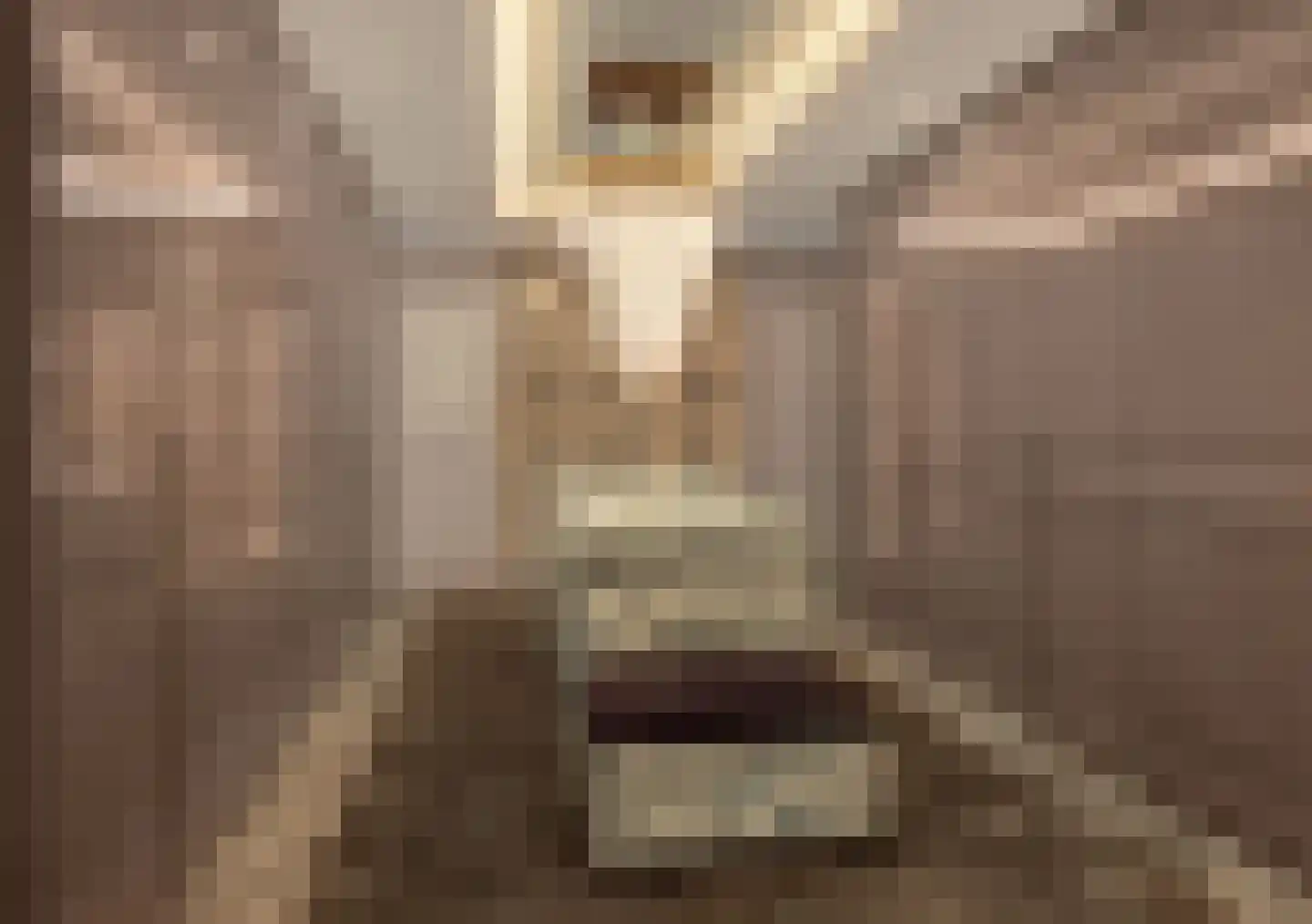Gustav Mahlerlaan 278 Amsterdam thumbnail 8