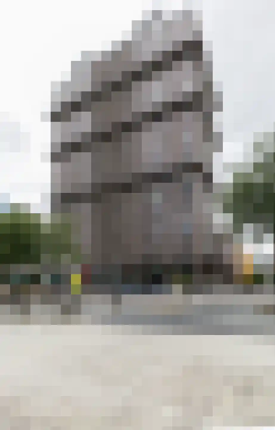 Gustav Mahlerlaan 327 Amsterdam thumbnail 12
