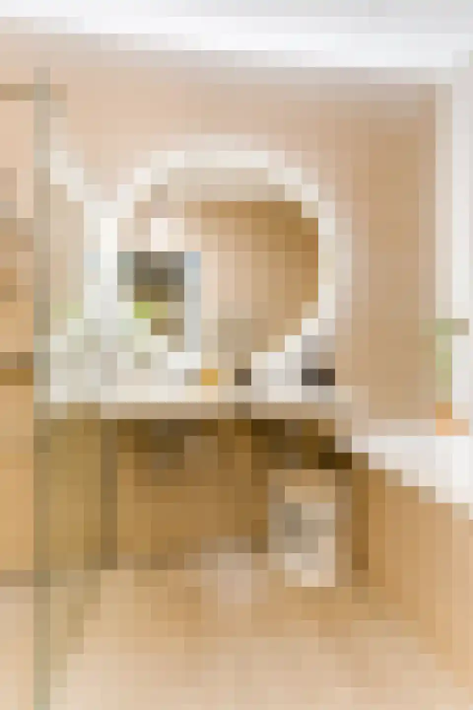 Gustav Mahlerlaan 327 Amsterdam thumbnail 27