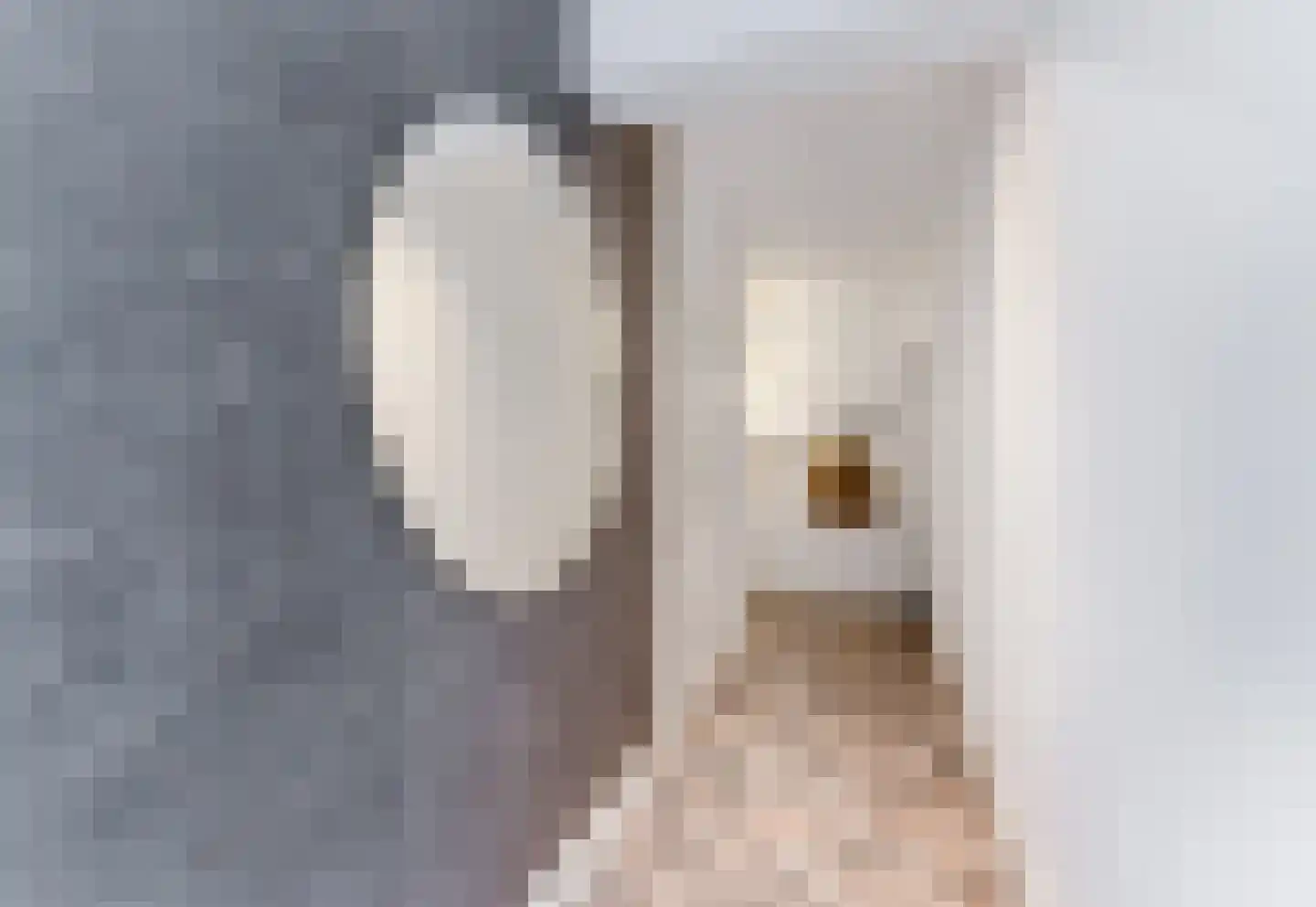 Gustav Mahlerlaan 327 Amsterdam thumbnail 29