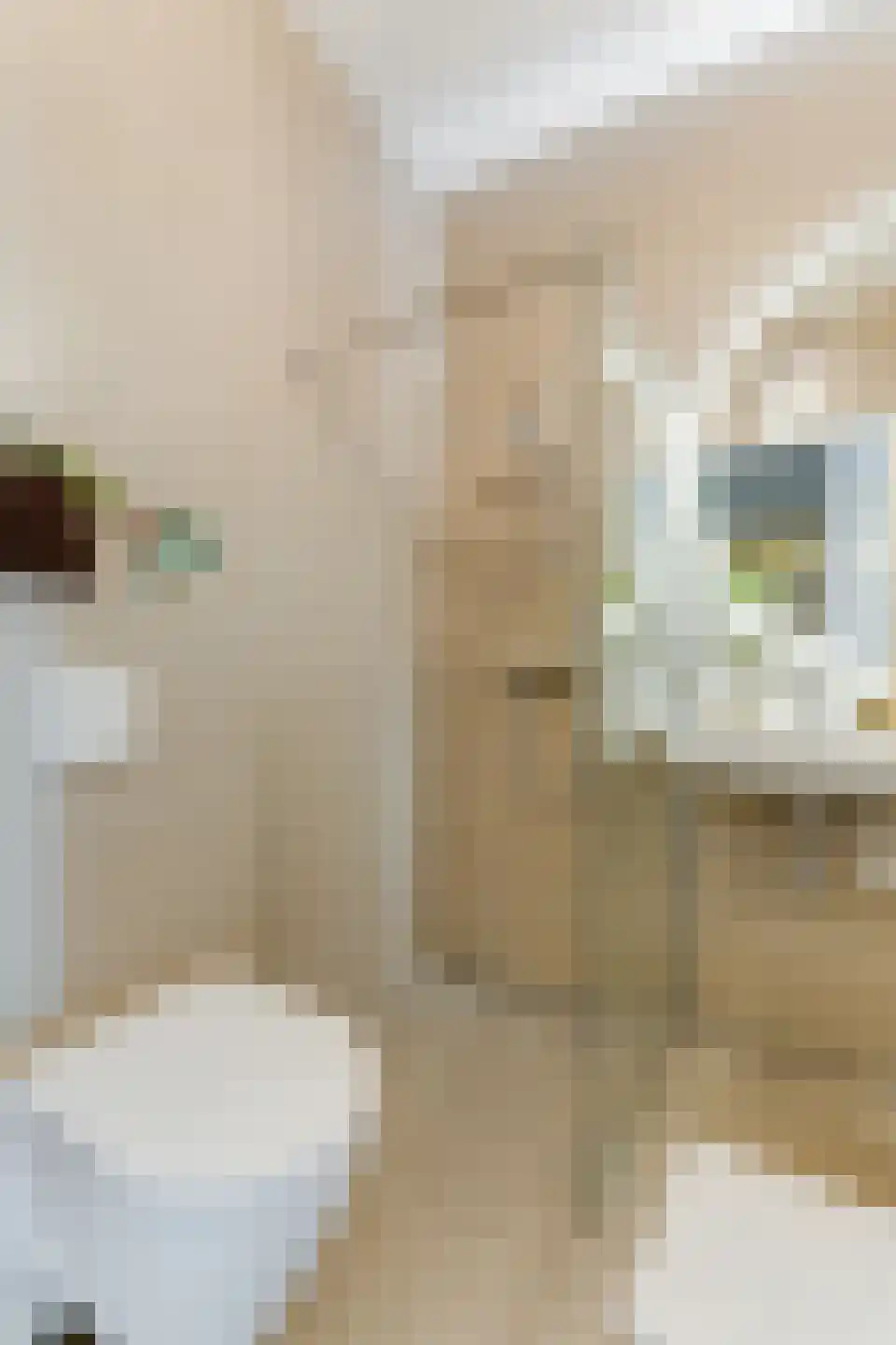 Gustav Mahlerlaan 327 Amsterdam thumbnail 36