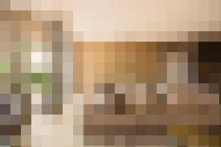 Gustav Mahlerlaan 341 Amsterdam thumbnail 10