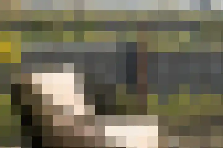 Gustav Mahlerlaan 341 Amsterdam thumbnail 29