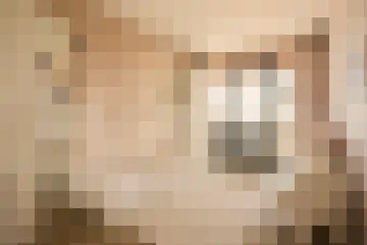 Gustav Mahlerlaan 341 Amsterdam thumbnail 30