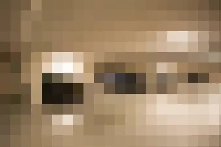 Gustav Mahlerlaan 341 Amsterdam thumbnail 38