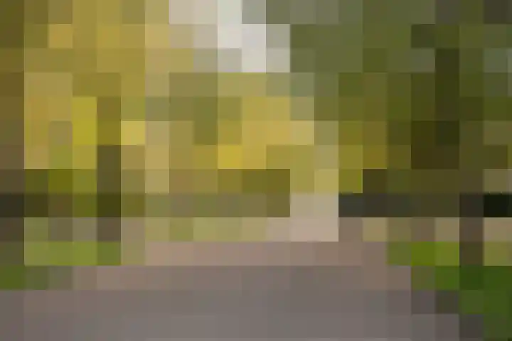 Gustav Mahlerlaan 341 Amsterdam thumbnail 41