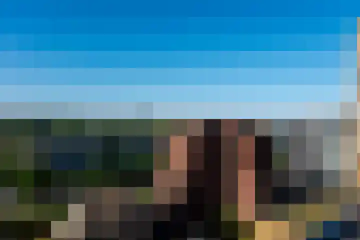 Gustav Mahlerlaan 341 Amsterdam thumbnail 42