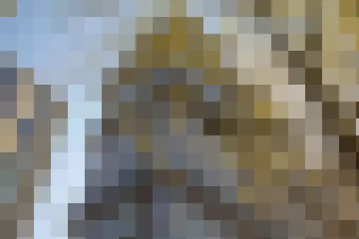 Gustav Mahlerlaan 341 Amsterdam thumbnail 45