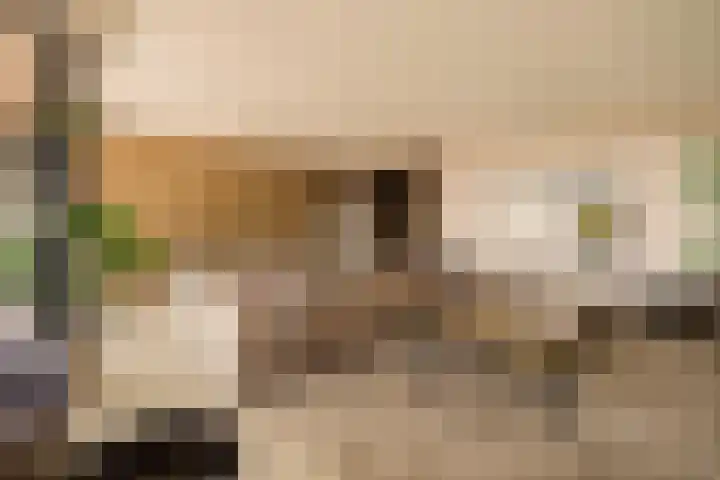 Gustav Mahlerlaan 341 Amsterdam thumbnail 8