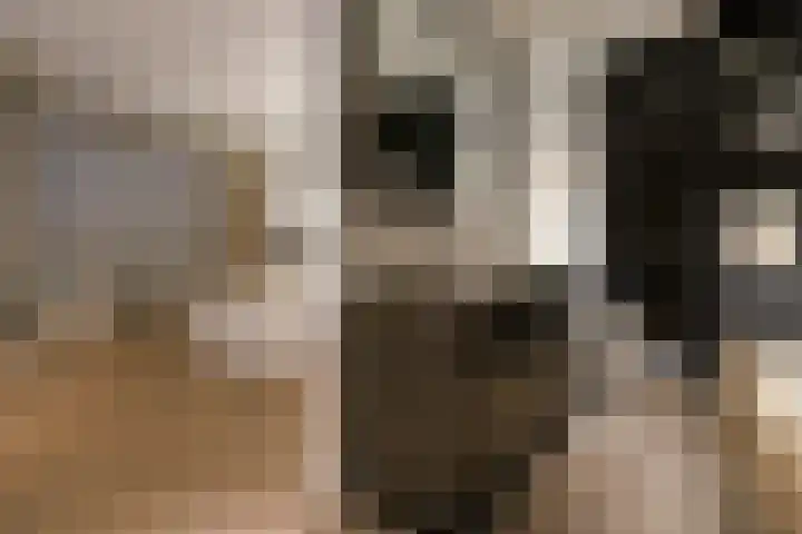 Gustav Mahlerlaan 343 Amsterdam thumbnail 12