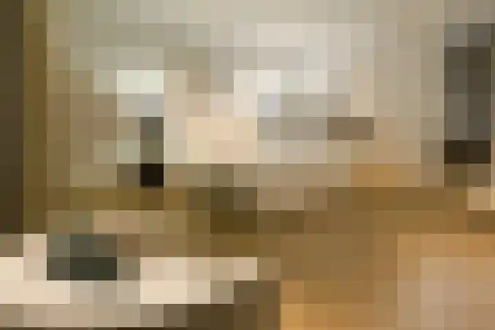 Gustav Mahlerlaan 343 Amsterdam thumbnail 13