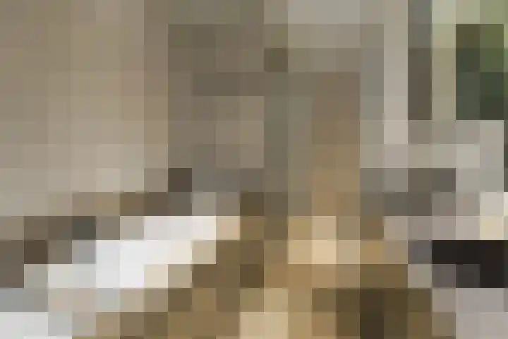 Gustav Mahlerlaan 343 Amsterdam thumbnail 14