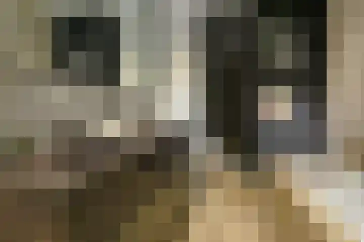 Gustav Mahlerlaan 343 Amsterdam thumbnail 15
