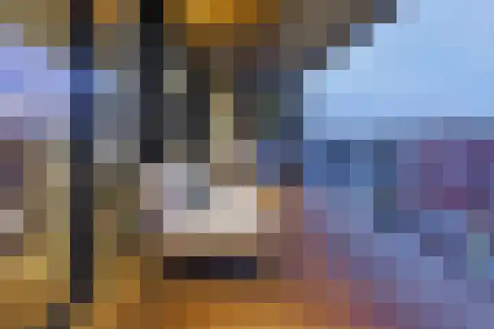 Gustav Mahlerlaan 343 Amsterdam thumbnail 18