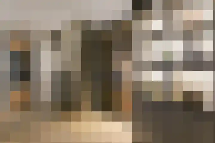 Gustav Mahlerlaan 343 Amsterdam thumbnail 7