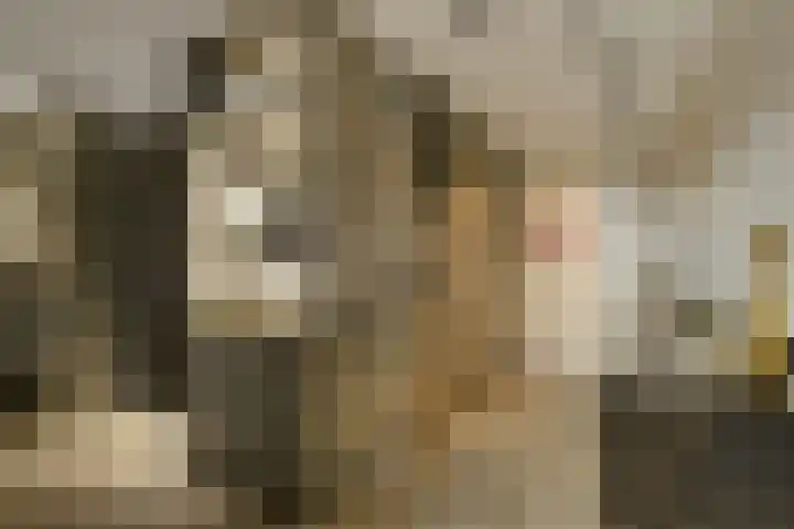 Gustav Mahlerlaan 343 Amsterdam thumbnail 8