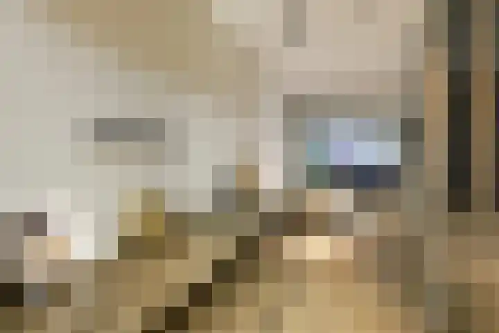 Gustav Mahlerlaan 343 Amsterdam thumbnail 9
