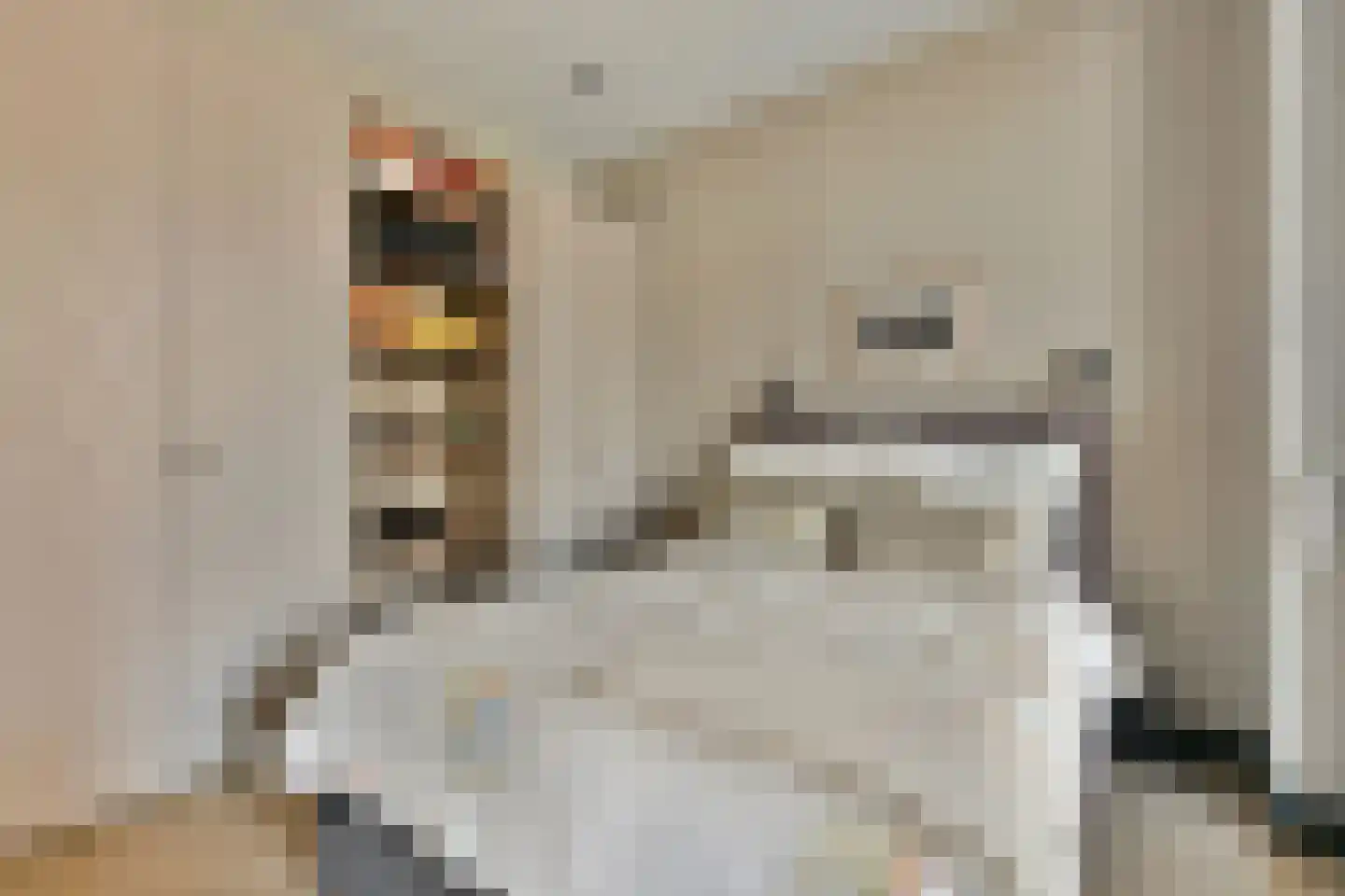 Gustav Mahlerlaan 347 Amsterdam thumbnail 12
