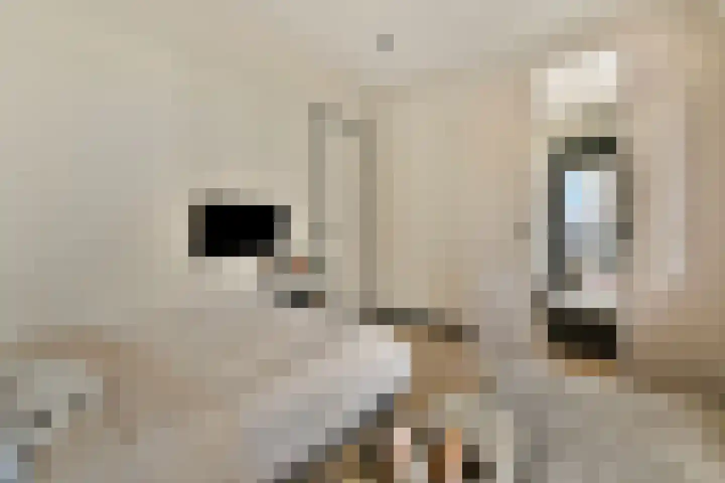 Gustav Mahlerlaan 347 Amsterdam thumbnail 20