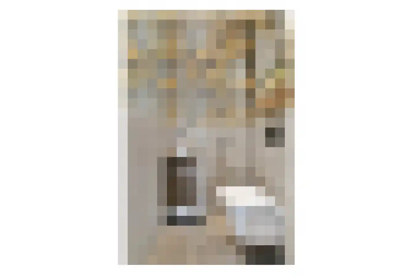 Gustav Mahlerlaan 347 Amsterdam thumbnail 25