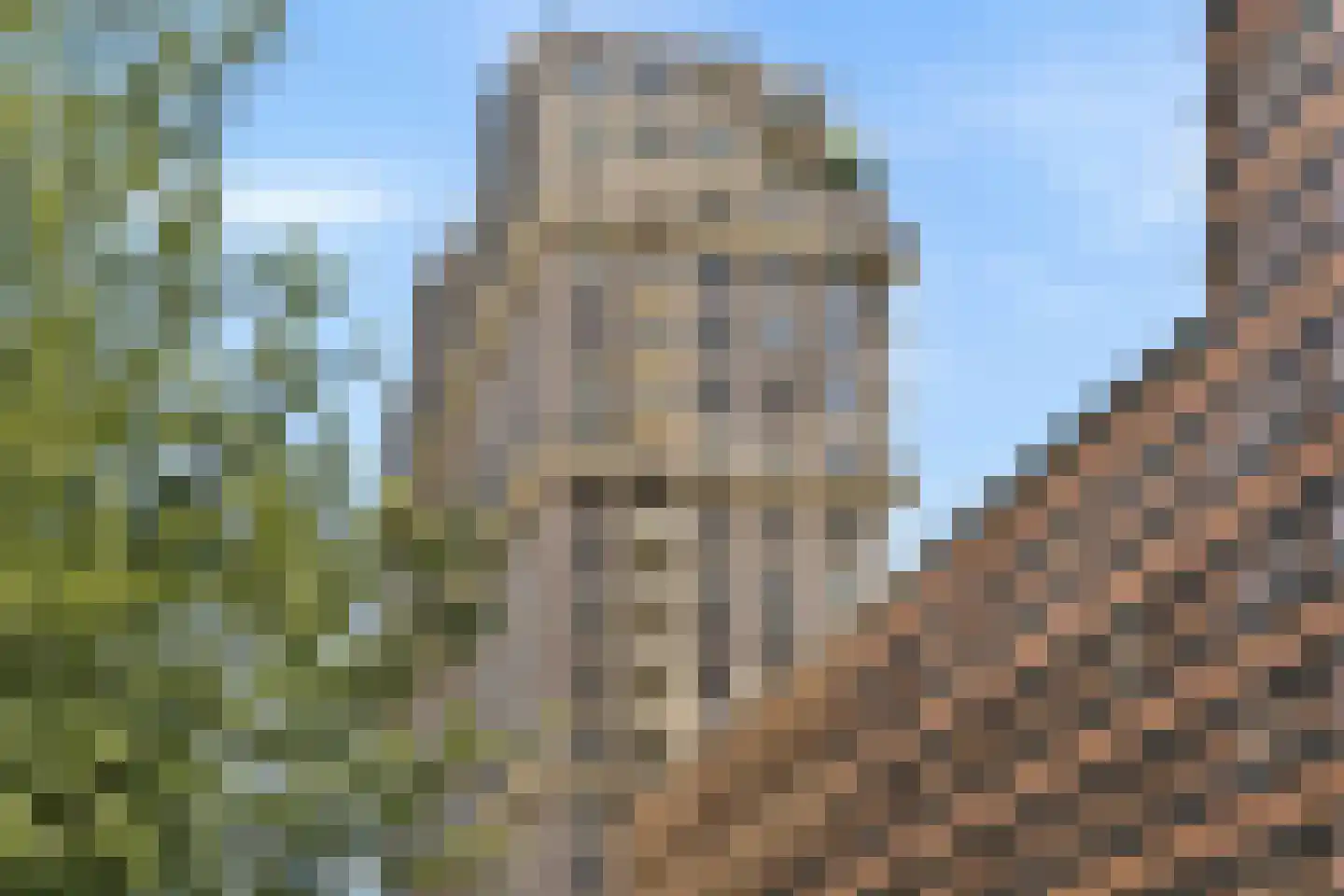 Gustav Mahlerlaan 347 Amsterdam thumbnail 33