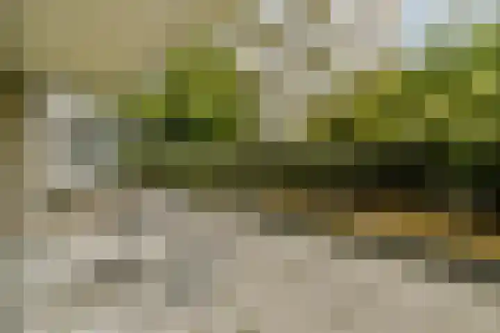 Gustav Mahlerlaan 527 C Amsterdam thumbnail 13