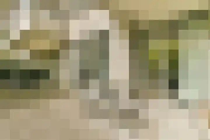 Gustav Mahlerlaan 527 C Amsterdam thumbnail 5