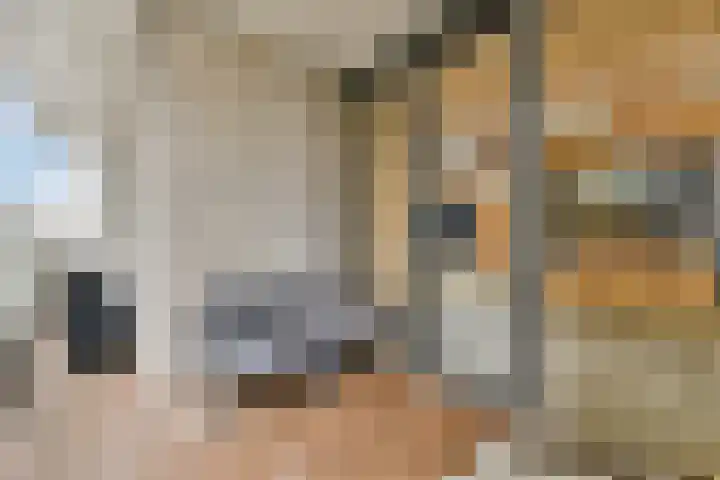 Gustav Mahlerlaan 529 D Amsterdam thumbnail 11
