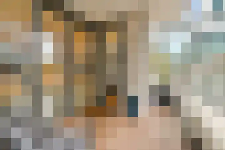 Gustav Mahlerlaan 529 D Amsterdam thumbnail 12