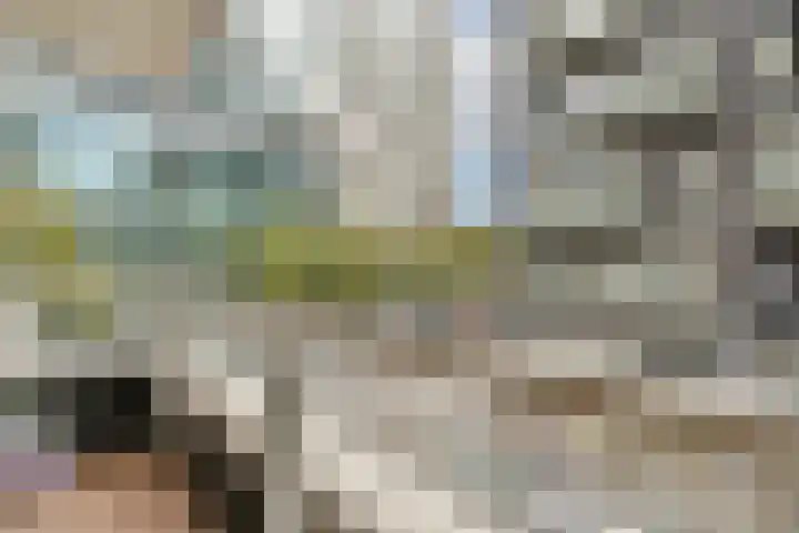 Gustav Mahlerlaan 529 D Amsterdam thumbnail 13