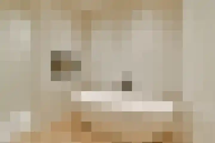 Gustav Mahlerlaan 529 D Amsterdam thumbnail 19